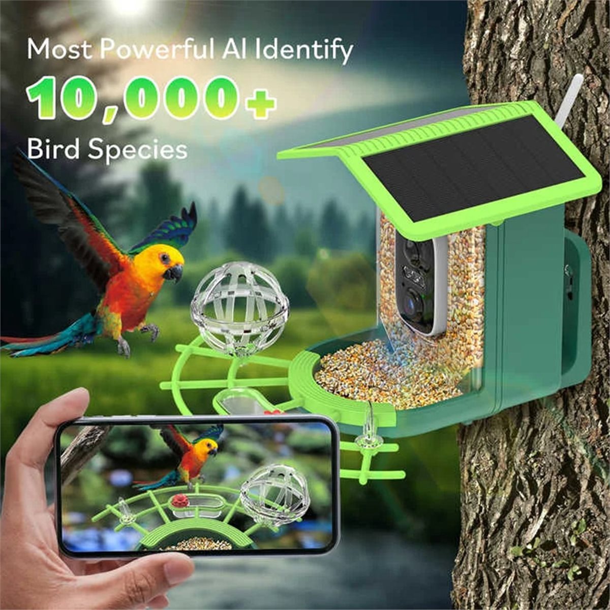 ABPP Smart Bird Feeder Camera  - огляд і ціна Power Tools Ai